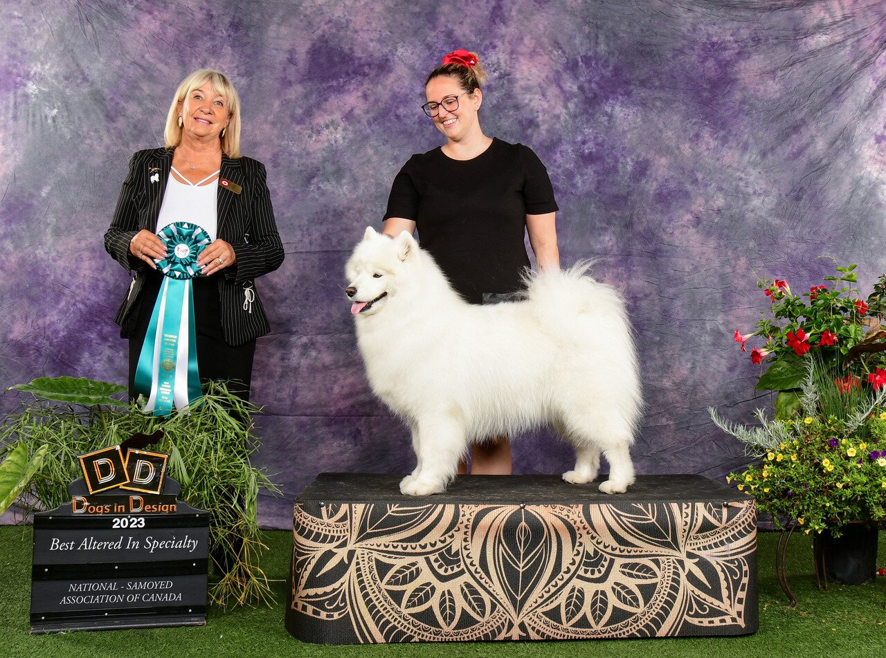 Lucy remporte meilleure altérée