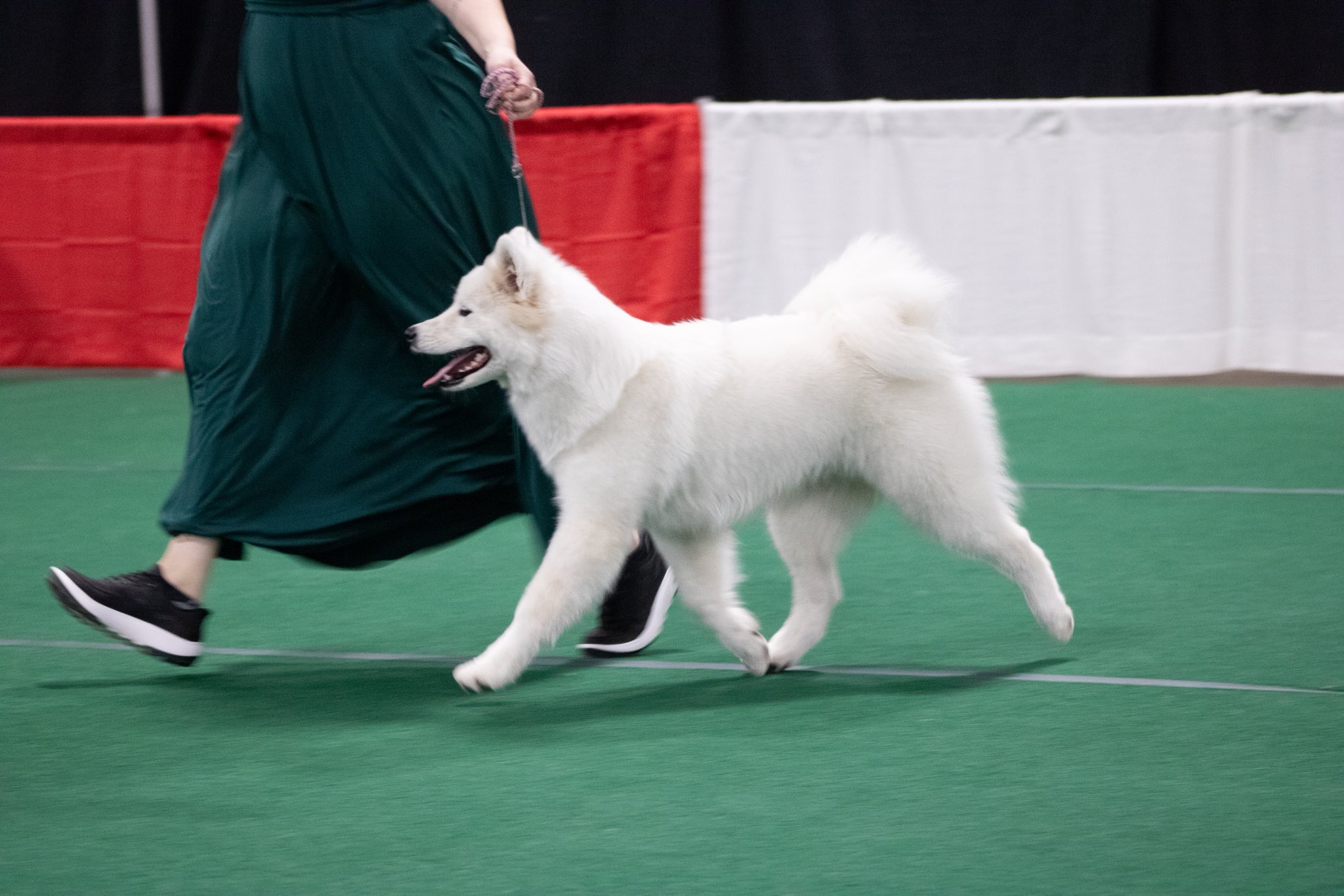 Arya en présentation