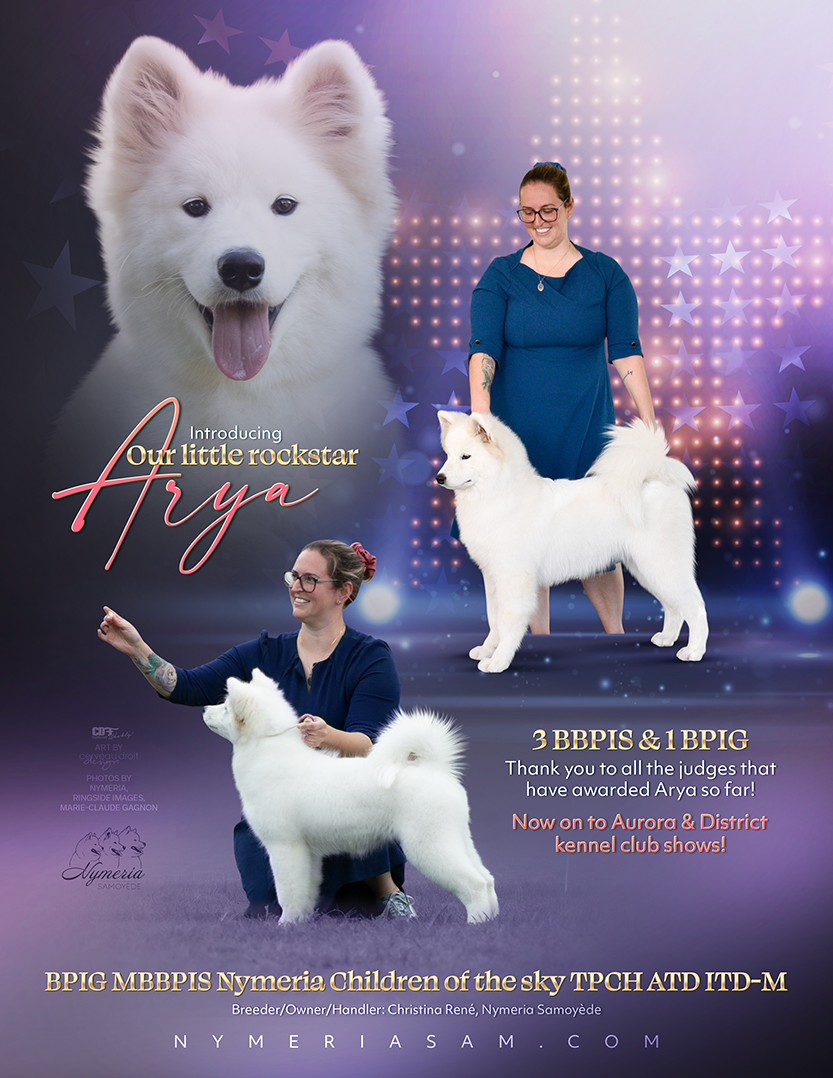 Arya au dog show d'Aurora