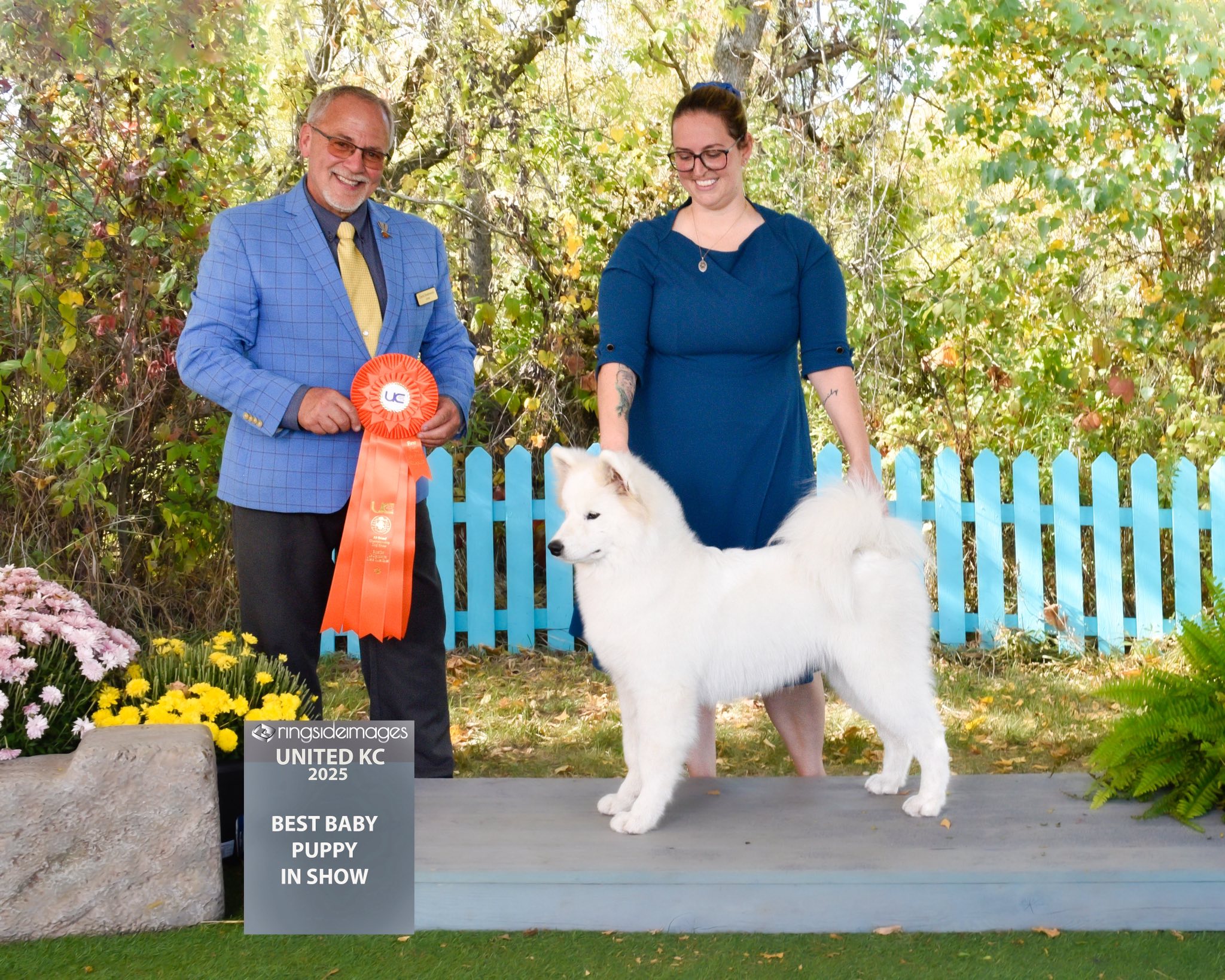 Arya - Best baby puppy in show