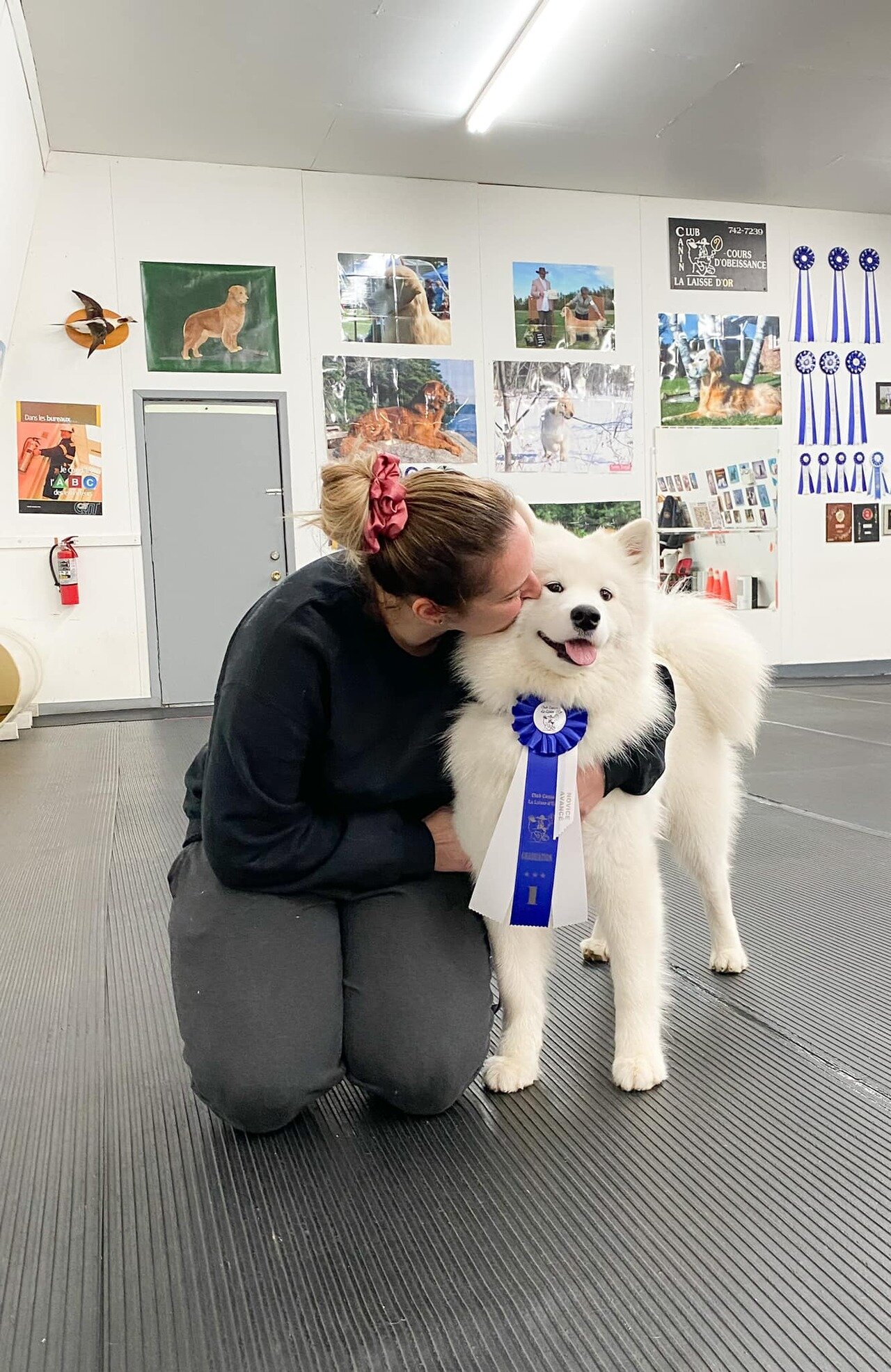 Première place en obéissance novice avancé pour Skye