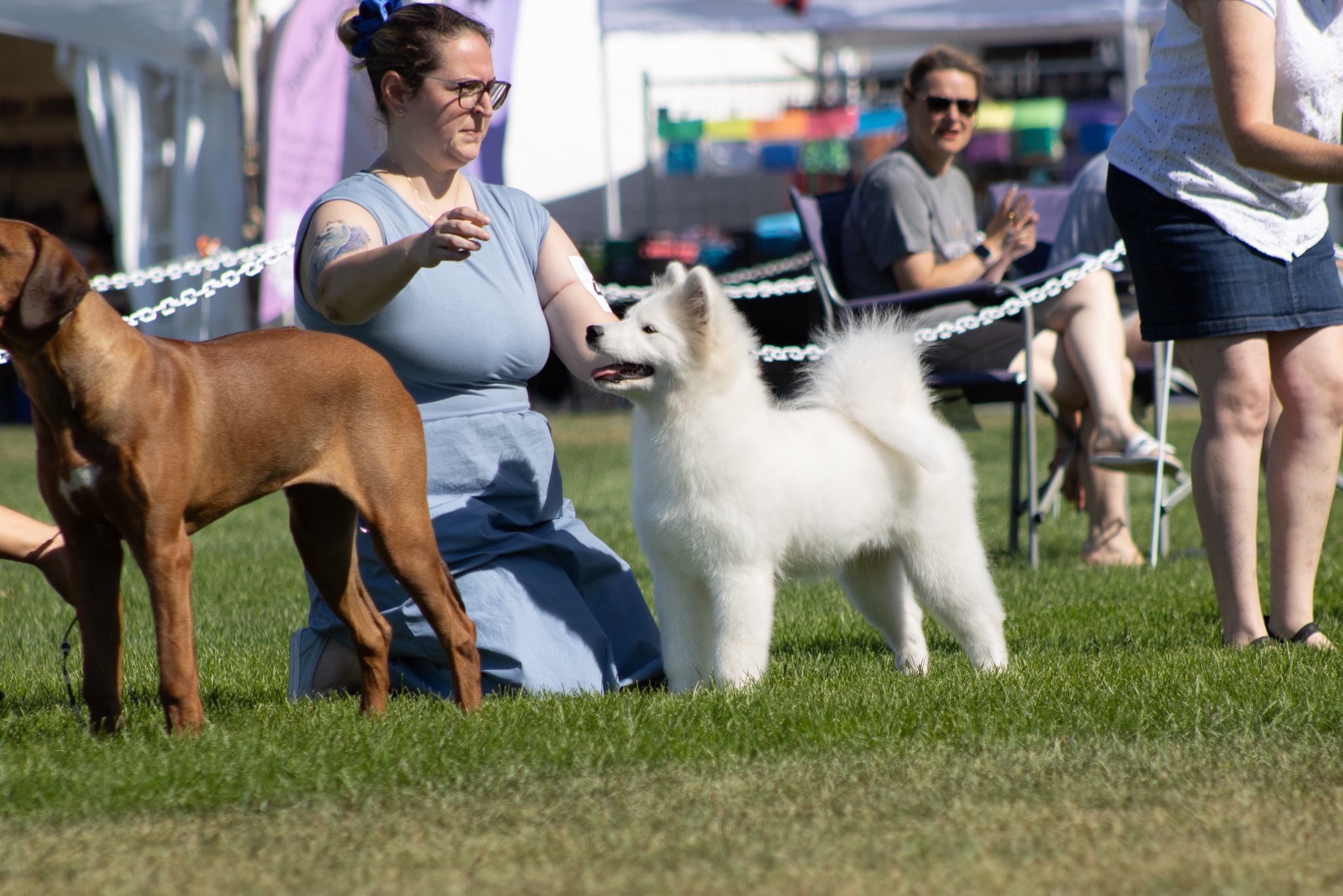 Arya en présentation