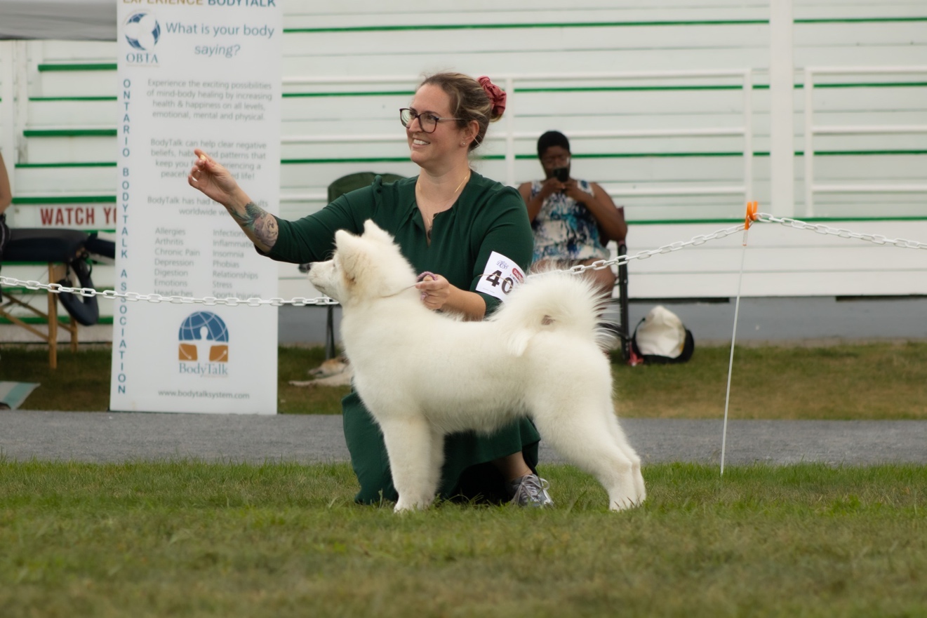 Arya après le dog show
