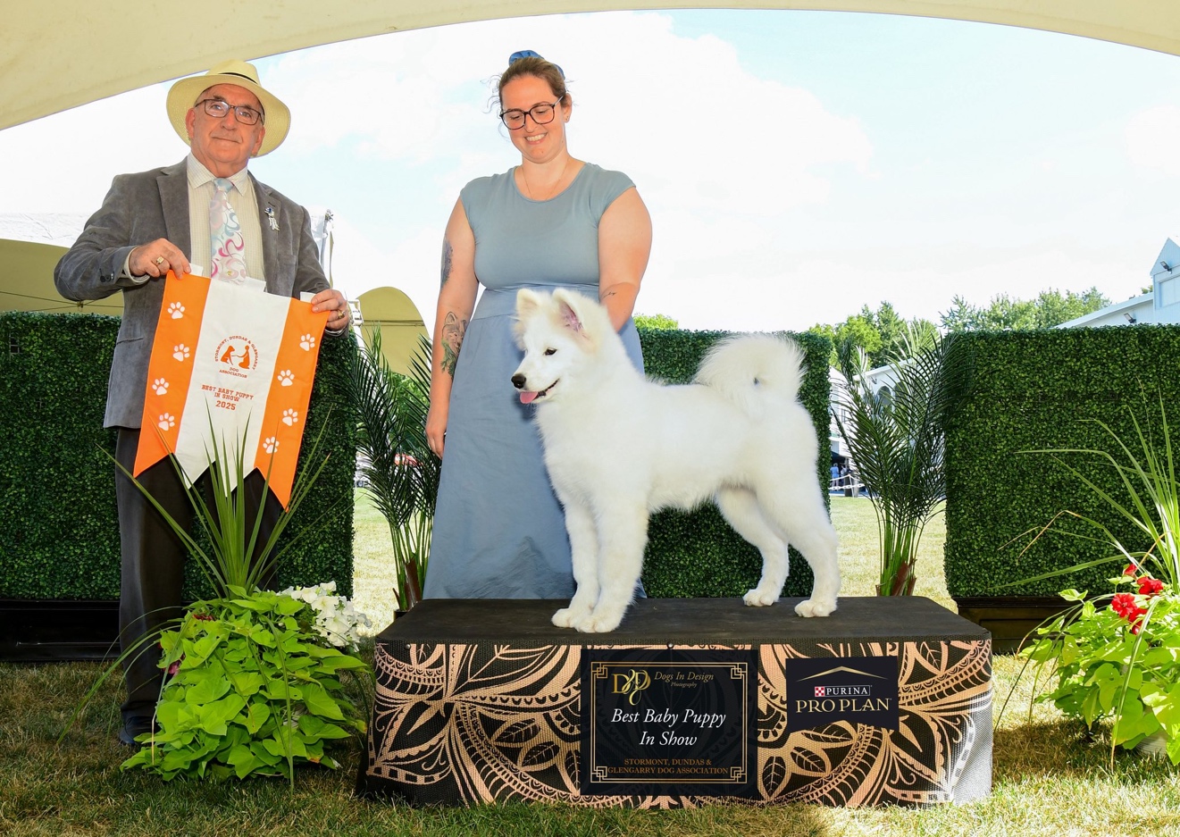 Arya à son premier dog show