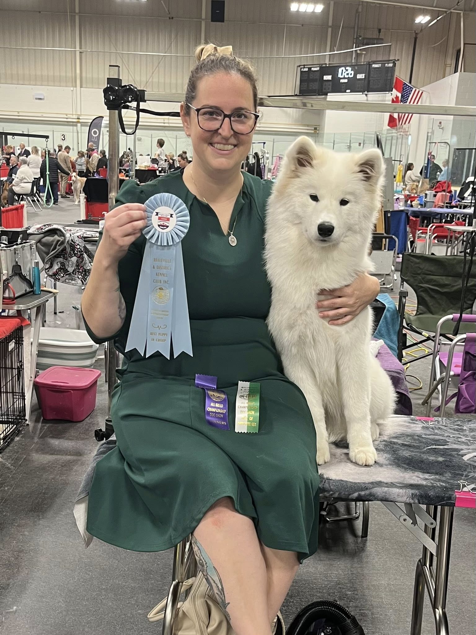 Arya en présentation puppy