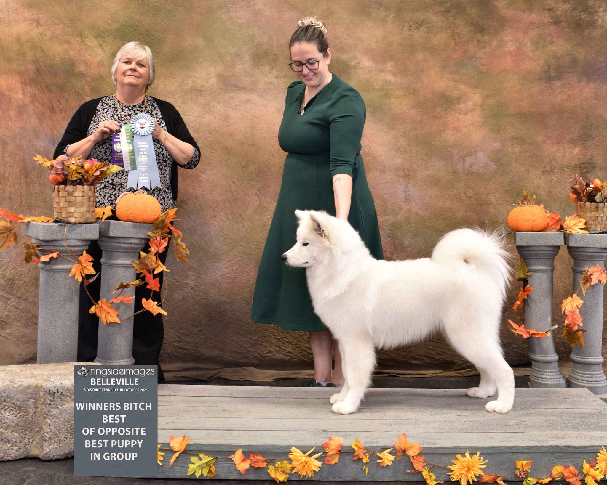 Arya à son premier dog show en tant que puppy