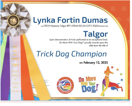Notre premier Trick dog champion de l’élevage !!