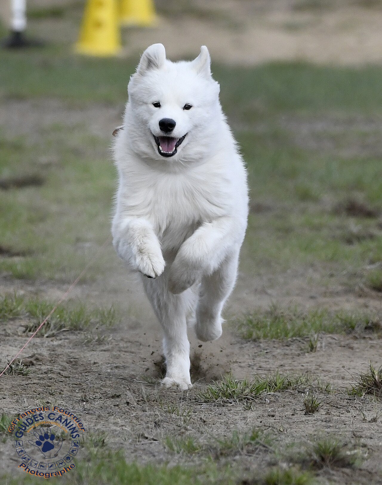 Skye à sa compétition de Sprinter